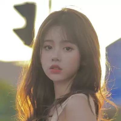 公凡梦